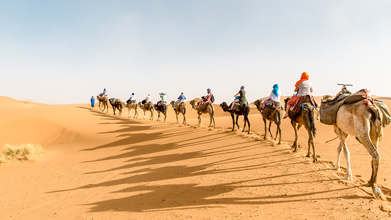 Crossing the Sahara: Challenges of Desert Travel