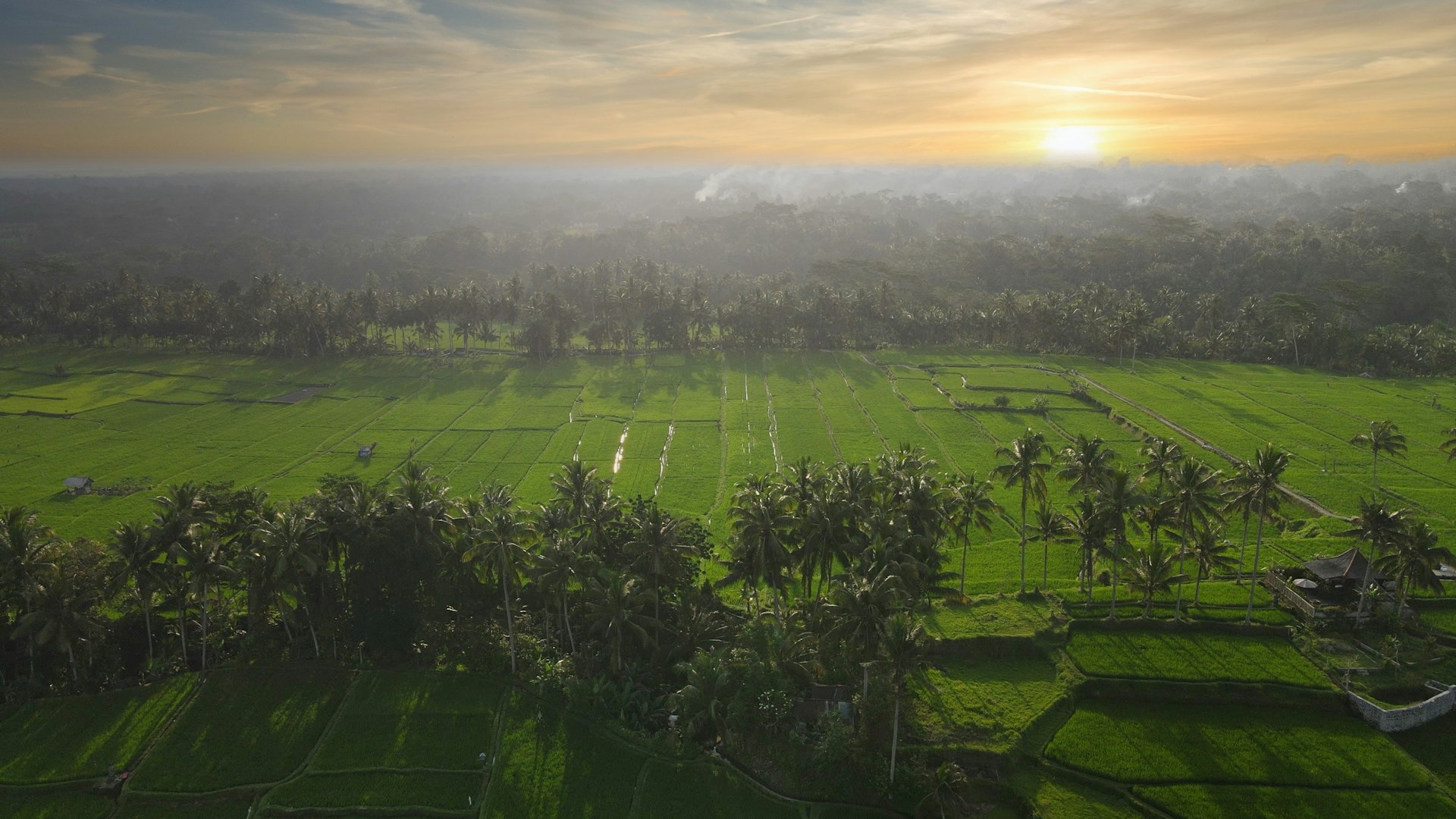 Building a Greener Future: Environmental Sustainability in Game Development