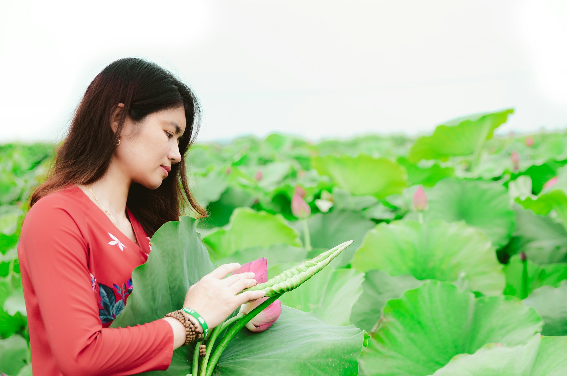 Unlocking Your Future: Career Pathways in Smart Agriculture Technology