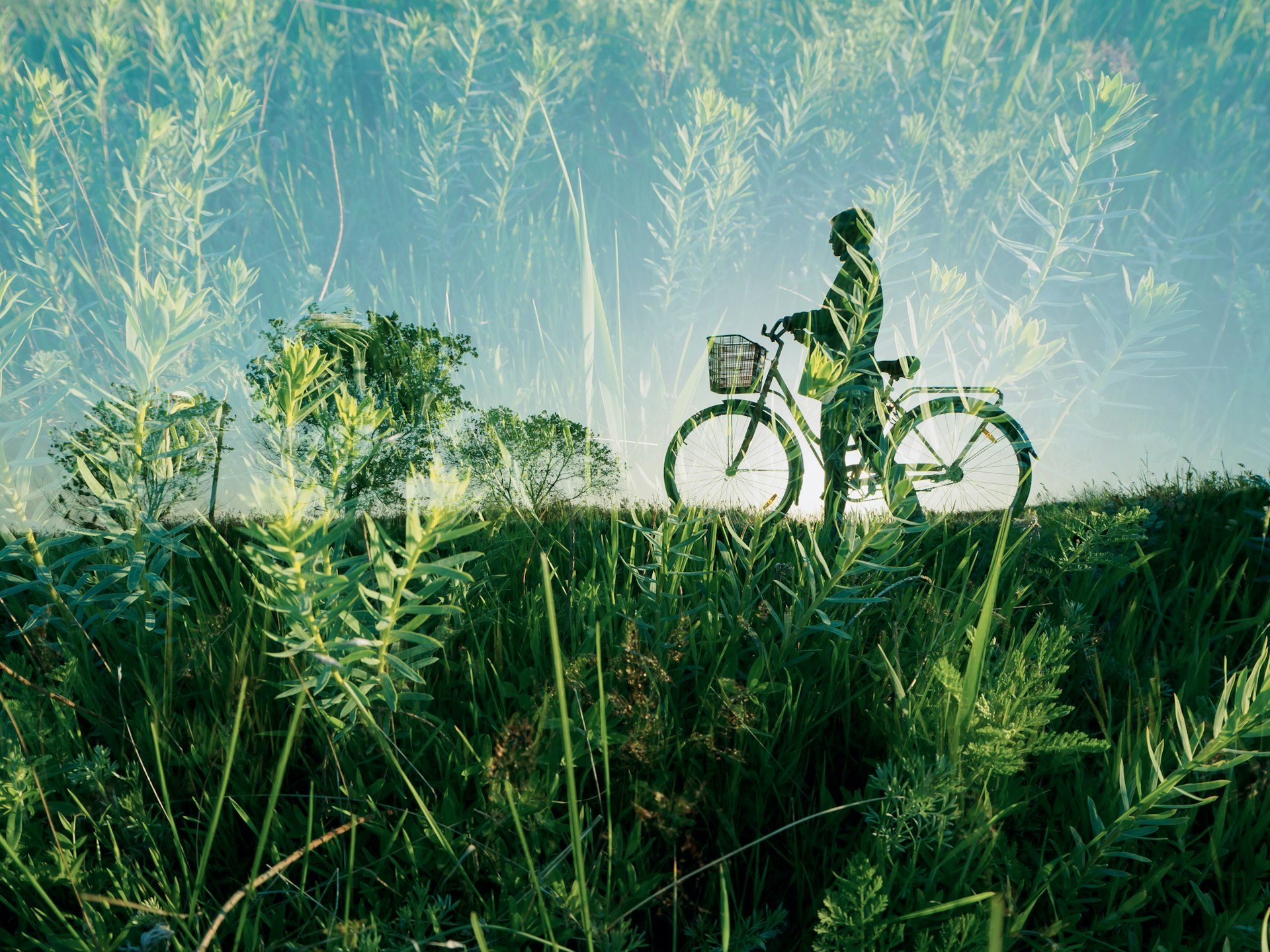 Adopting a Cycling Lifestyle: Your Path to Sustainable Living and Healthier Communities