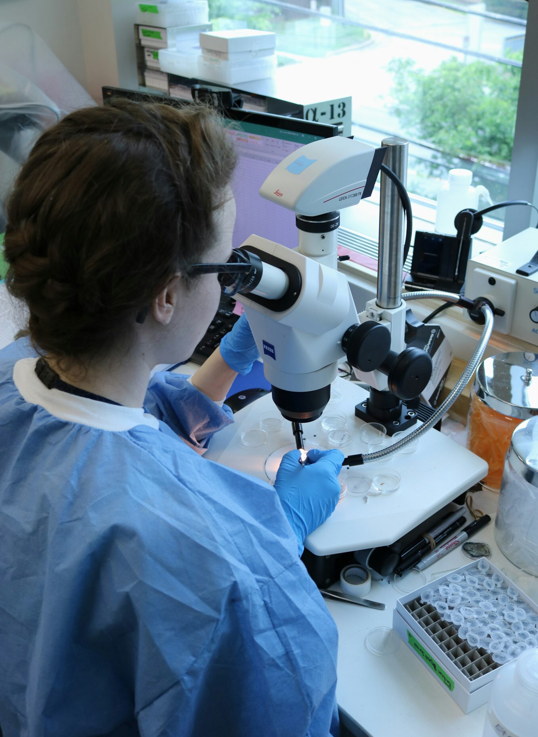 Is Bioinformatics a Good Career? 2025 Industry Outlook, Skills, and Opportunities